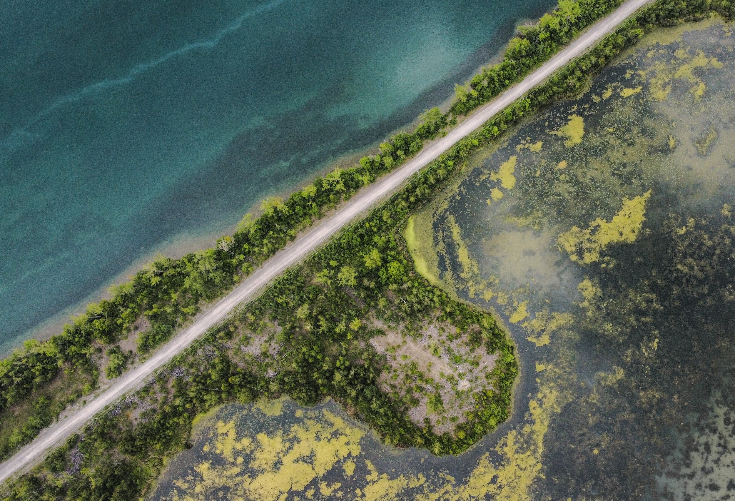 trauma therapy 101 a clear path through swamp land